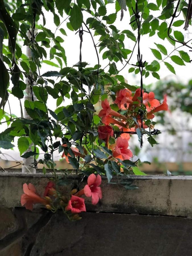 Hidden Hue Homestay Екстер'єр фото