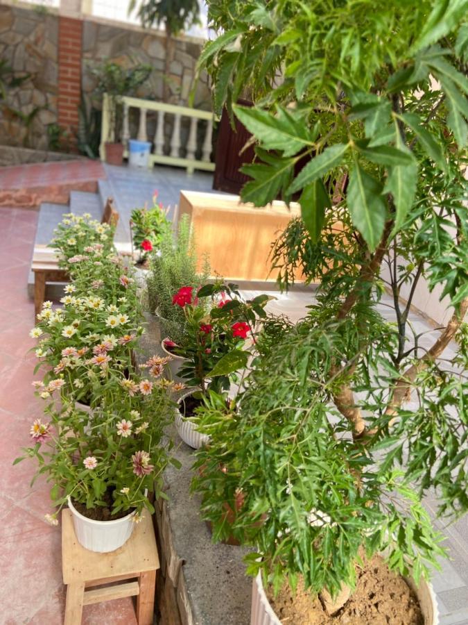 Hidden Hue Homestay Екстер'єр фото