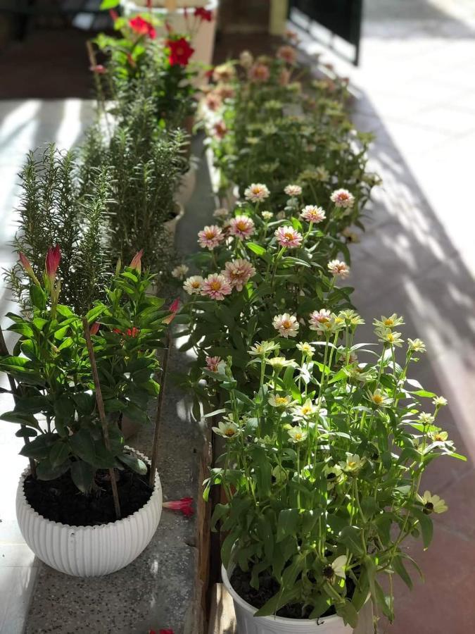 Hidden Hue Homestay Екстер'єр фото