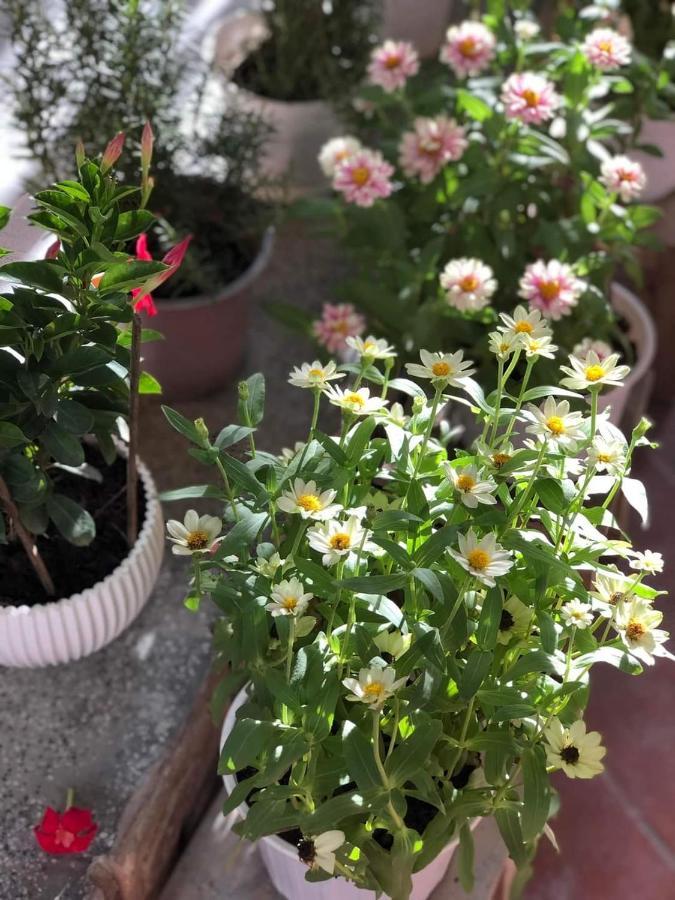 Hidden Hue Homestay Екстер'єр фото